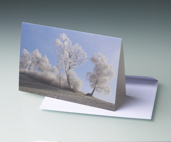 Card Tree 1 104
